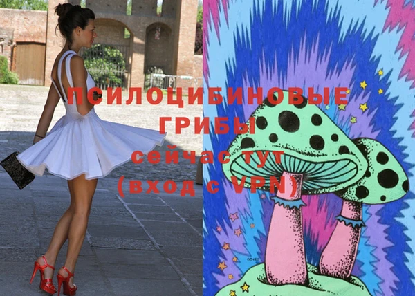 прущие грибы Алексеевка